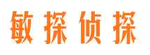 和平侦探公司